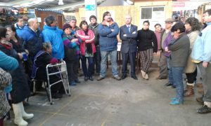 coresferiantesyumbel_corechiloe_2015_0001
