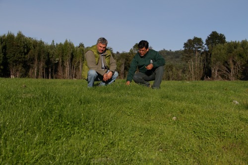 agricultores beneficiados-Programa Recuperacion de Suelos Degradados